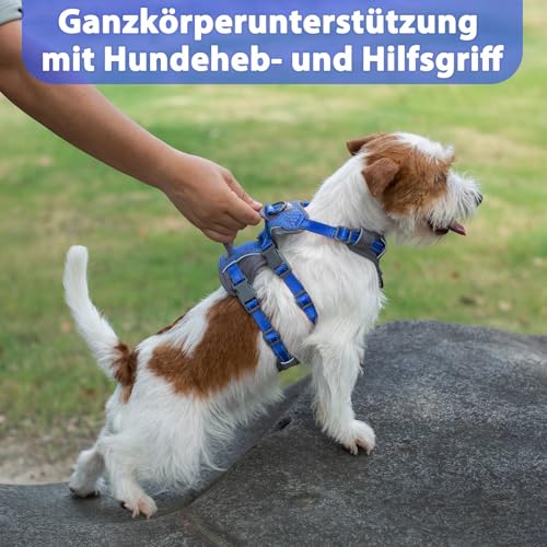 Huntboo Sicherheitsgeschirr Hund Ausbruchsicher, Panikgeschirr für Hunde, Reflektierendes Geschirr Hund mit Griff, Verstellbare Hundegeschirr für kleine, mittelgroße und große Hunde (Meeresblau,XS)