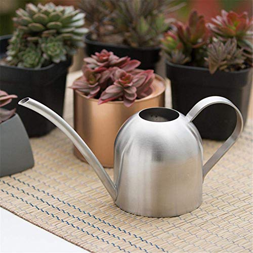 EUYOUZI Indoor Plant Watering Can - Small 500ml Stainless Steel Metal Design - for Indoor Potted Plants, Narrow Mouth Spout (Large)