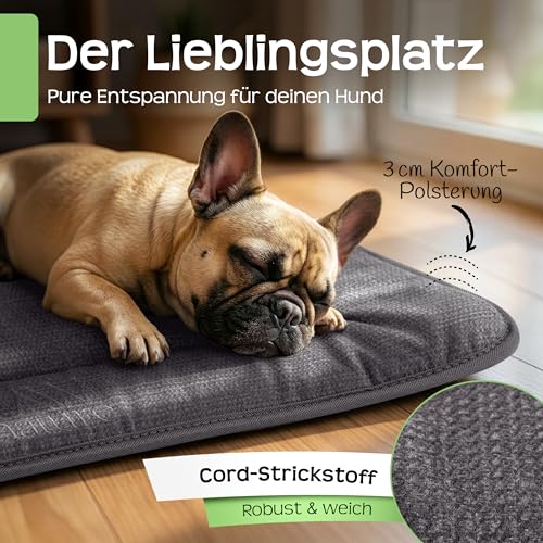 RAW Nature Hundematte KIVO M – 75x55x3 cm Alpengrau, rutschfeste Hundeliegematte aus Cord, waschbar, für Transportbox & Zuhause