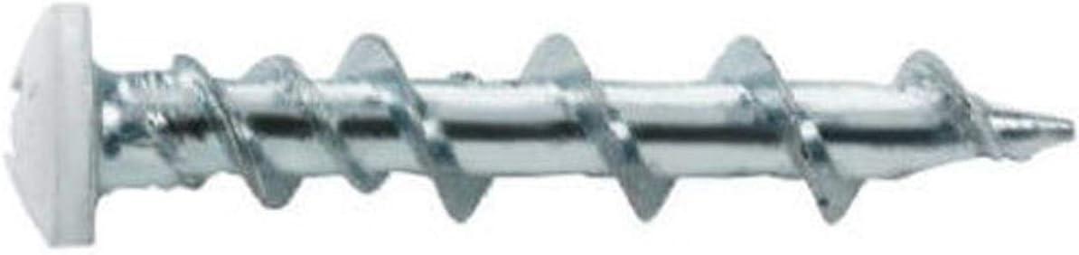 9523 walldog Oval Head Phillips Screws