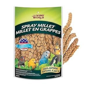 Living World – Millet Spray for Birds, 7 Oz – Premium Treat for Budgies, Canaries, Finches, Cockatiels and Other Pet Birds