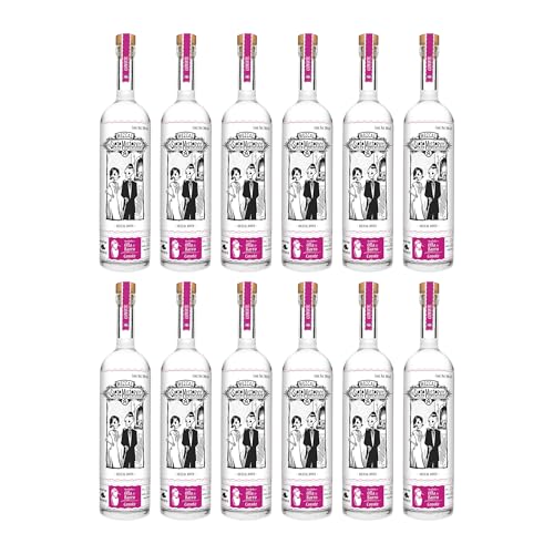 Los Siete Misterios Mezcal Coyote Mexiko inkl. FeinWert E-Book (12 x 0.7 l)