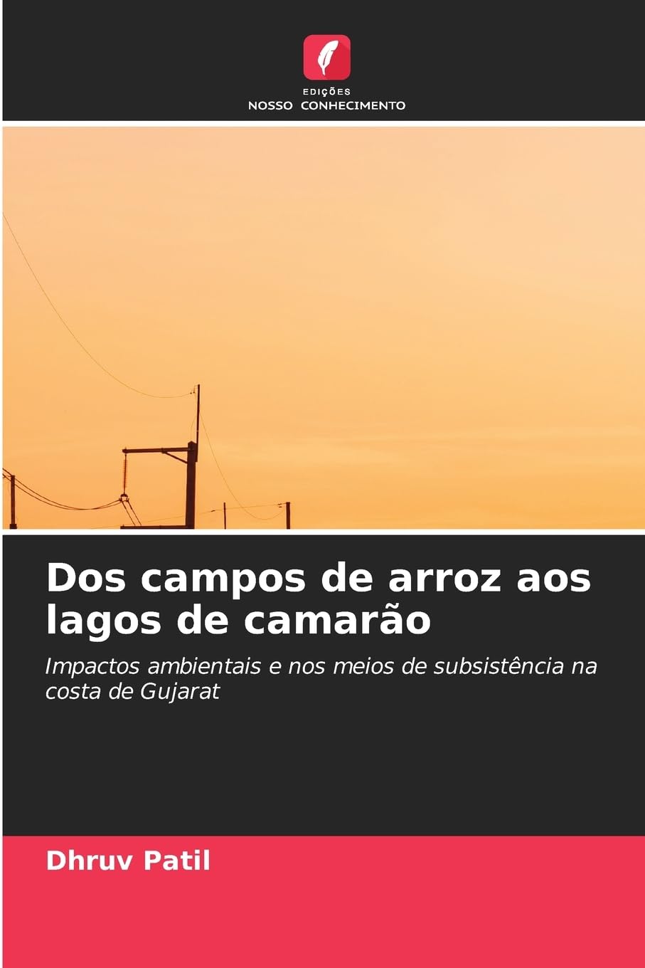 Dos campos de arroz aos lagos de camarão: Impactos ambientais e nos meios de subsistência na costa de Gujarat