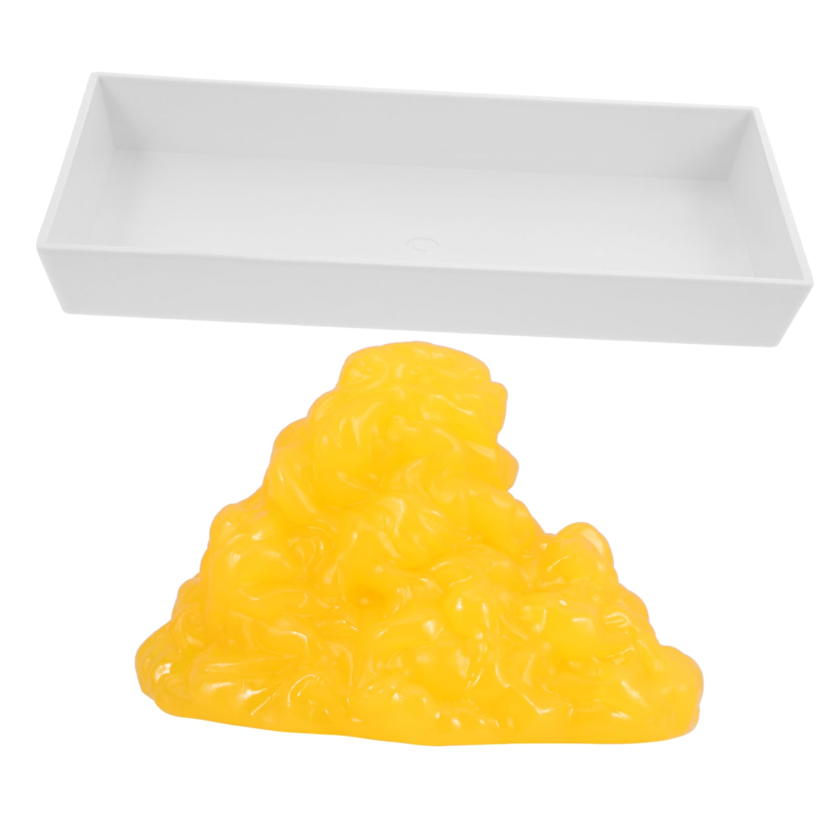 Modèle de graisse corporelle avec socle pour motiver vos patients - 8