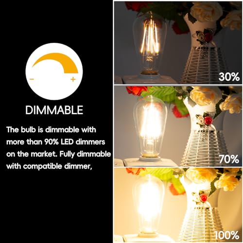 Image of Jensense Edison Bulbs E26 LED Bulb 60 Watt Equivalent, Vintage LED Light Bulbs CRI90+ ST19, Dimmable Clear Light Bulbs (2700k Warm White, 8watt-1 Pack)