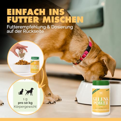 PAW WOW Gelenkpower Gelenkpulver 130g für Hunde, Katzen & Pferde | Mit natürlichem Kollagen & Grünlippmuschel | Unterstützt Gelenke & Bindegewebe | Ohne künstliche Zusatzstoffe