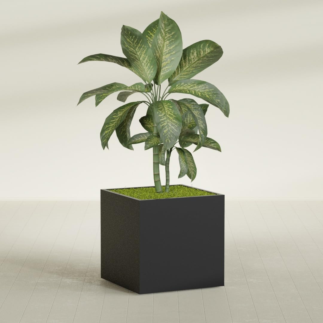 Amazon.com : Greenline Jack Square Cube Planter - Indoor/Outdoor