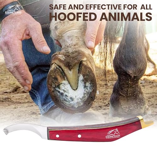 Image of Equine Care Farrier Hoof Knife, Right-Handed, Brass Cap for Horse Shoeing | Right-handed farrier hoof knife with J2 stainless steel blade, notched brass shoe topper, layered handle and flat thumb rest