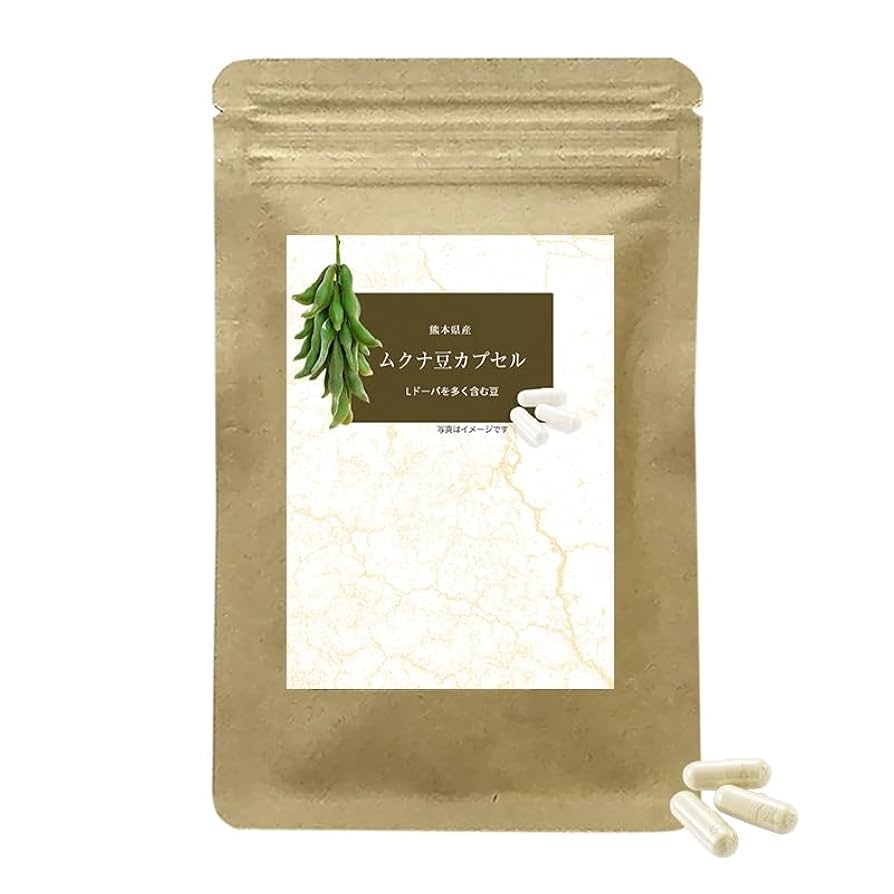ムクナ豆　生　約2kｇ ムクナ豆☆2kg