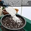 Amazon.com: Norcal Perlite Horticultural Organic Certified Premium ...
