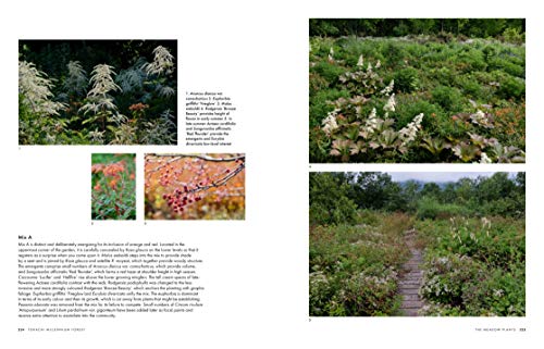 Tokachi Millennium Forest: Pioneering a New Way of Gardening with Nature