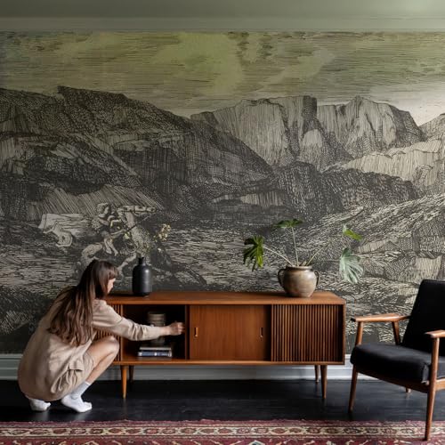 Papier peint panoramique montagne impression haute qualité 250x250cm