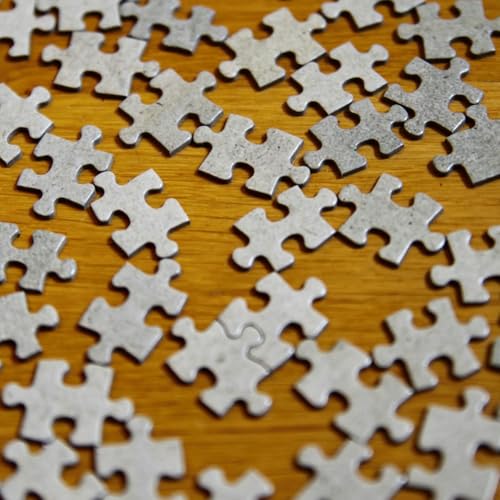 『What is the World Jigsaw Puzzle Championship?』のカバーアート