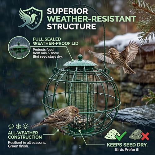 Mangeoire oiseaux extérieure suspendue résistante aux intempéries avec cage en métal vert - 3