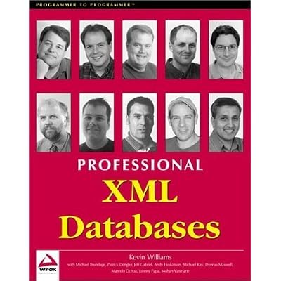 Professional XML Databases
