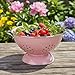 Calypso Basics by Reston Lloyd Enameled Colander & Vegetable Strainer, 5 Quart, Pink