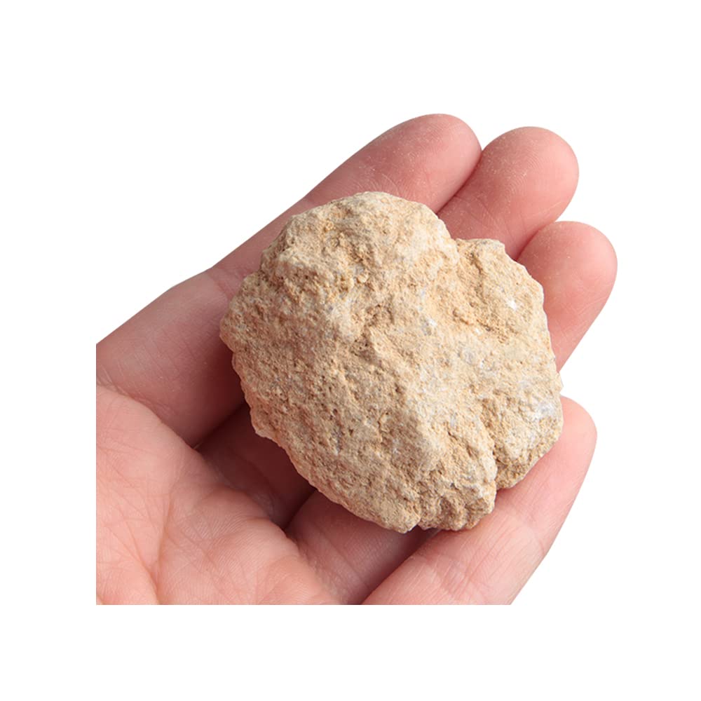 Acxico 1Pcs Break Your Own Geodes Gift- Large Unopened Moroccan Crystals