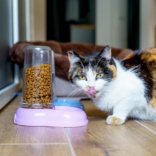 Ferplast Futter- oder Wasserspender für Hunde und Katzen AZIMUT 600 Futtertrog Wasser 0,6 Liter, Rutschfester Boden, 12,5 x 19 x H 19,5 cm Blau