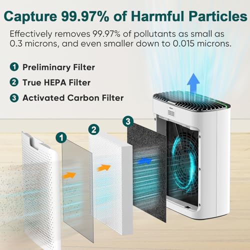 Jafandahepaairpurifierforbedroomallergenaircleanersforhomelargeroomupto1226ftmoldairpurifiersforhometruehepaairfilterremoves9997petdanderhairpollendustsmokevocs  Urban Country Home Decor Jafanda hepa air purifier for bedroom allergen air cleaners for home large room up to 1226ft mold air purifiers for home true hepa air filter removes 9997 pet danderhair pollen dust smokevocs  urban country home decor