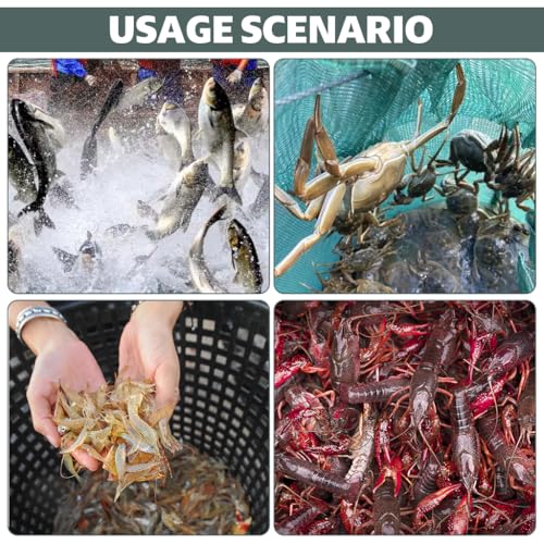 Image of Proberos Fishing Net, Foldable Fishing Net with Reinforced Ribs 24 Holes Automatic Fish Trap, Portable Nylon Lobster Crab Trap Cage Basket Tool for Fishing(12 Sides 24 Holes)