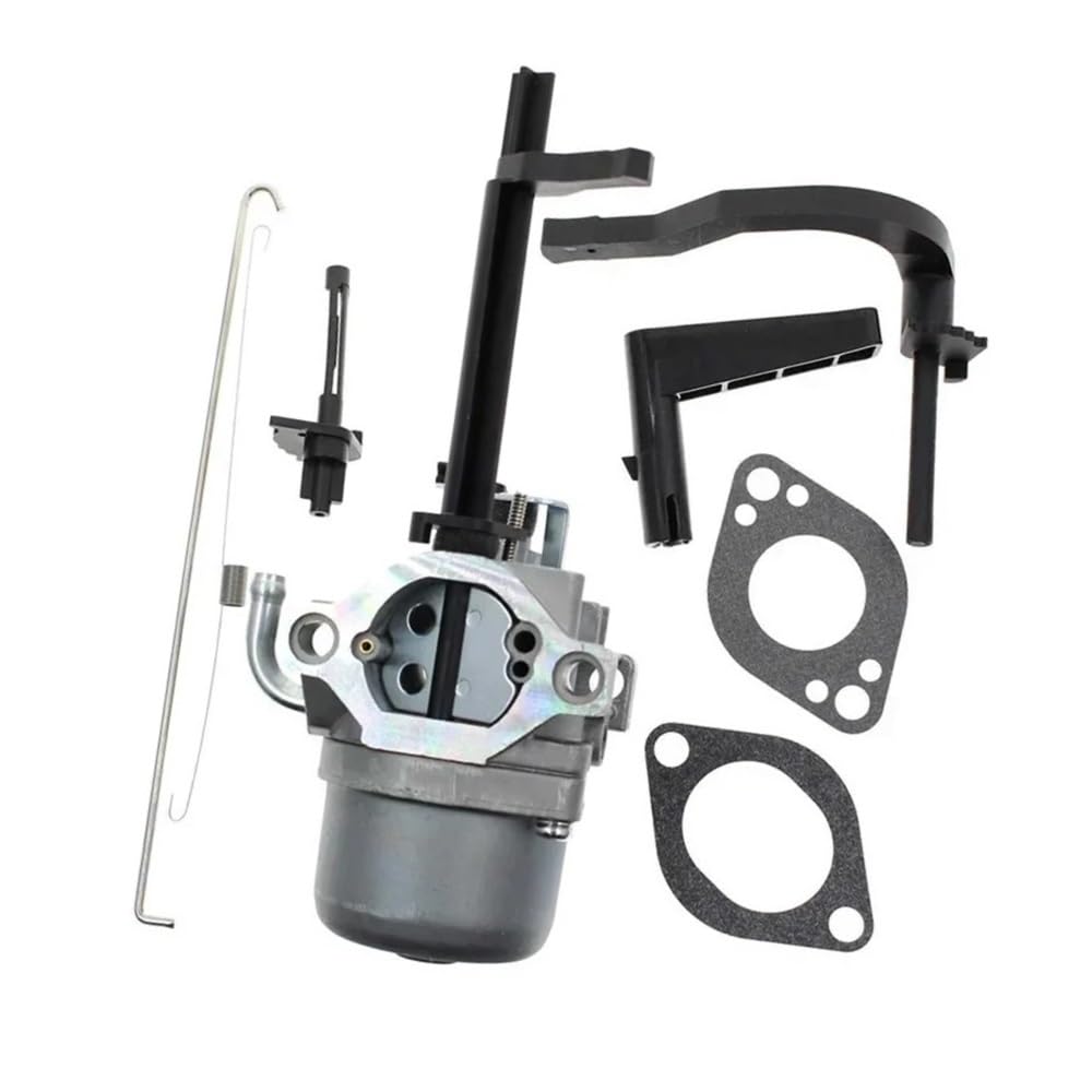 Carburador Apto para quitanieves Briggs 696132