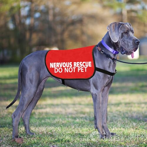 Nervous Rescue Dog Jacket Vest - Do Not Pet Dog Walking Slogan Warning Vest (Nervous Pet L), Large - Image 3