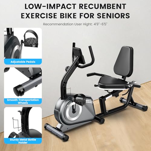 Recumbent Bike with High Back Support