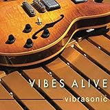 Vibrasonic