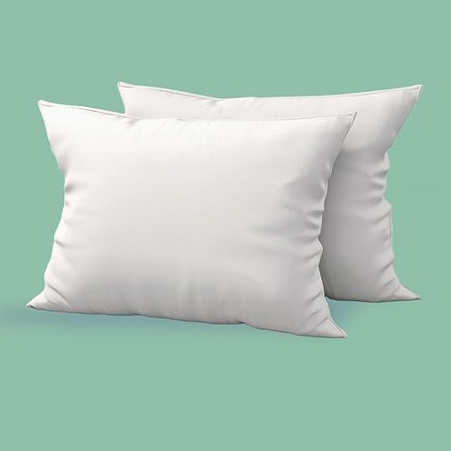Trendy Home - Relleno de almohada de 12 x 20 pulgadas, hipoalergénico, soporte lumbar decorativo para el hogar y exteriores (no tejido, paquete de 2)