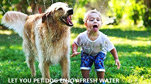 Dog Water Fountain, Automatic Pet Water Fountain Step On Paw Activated Dog Water Dispenser with 3 Nozzles, 9.8FT Hose… - Image 7