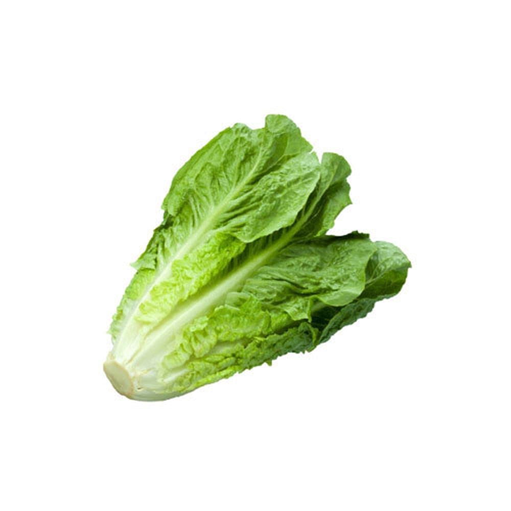Plantogallery Lettuce Green Organic F1 Hybrid Seeds Small Pack (Plantogallery) (Pl-Seeds-158) (B09B2M7QX1) Amazon Price History, Amazon Price Tracker