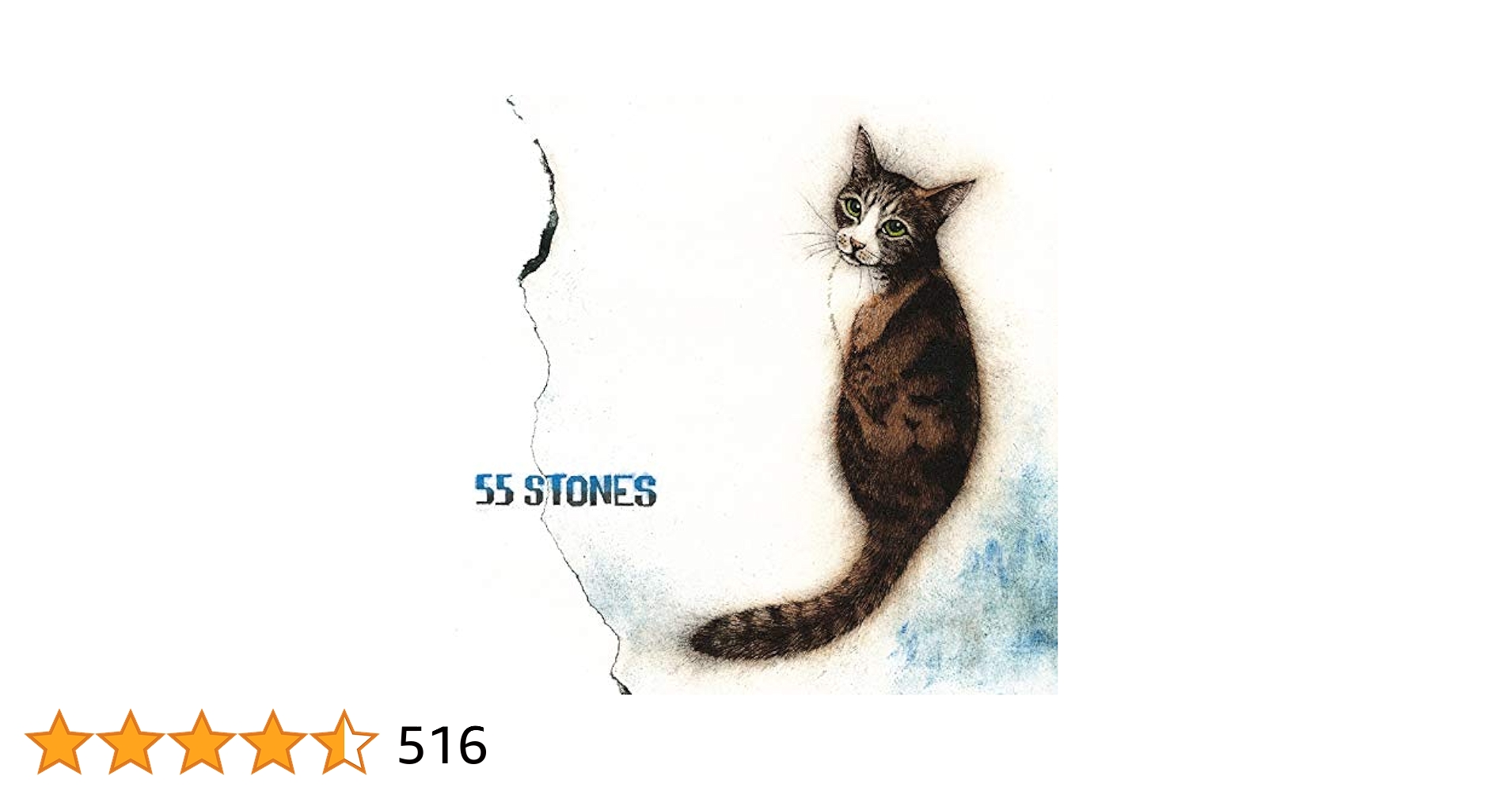 斉藤和義　55STONES 限定アナログ•レコード盤 KAZUYOSHI SAITO OFFICIAL WEB SITE