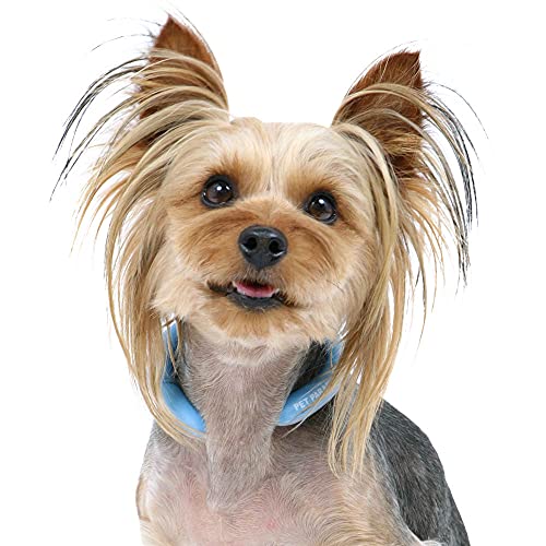 クールリング 犬 ネック 28 ice ネック犬 ひんやり クールリング 28℃ ネッククーラー 夏 ひんやり バンダナ 涼感 冷却 青