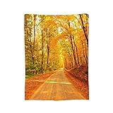 Zhuglo 3D Printed Anime Blanket Ultra Soft Flannel Lightweight Plush Throw Blanket All Season Cartoon Blankets Sofa Living Room 2-60'x50'