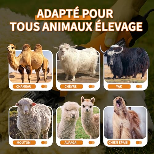 Vignette produit