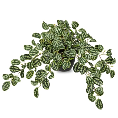Briful Artificial Potted Plant Indoor, 19.6" Faux Watermelon Peperomia Trailing Plant in Black Pot, Realistic Fake Plants with Cascading Green Leaves for Shelf Bathroom Office Desk Kitchen Home Decor