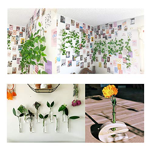 20x180mm Glass Test Tube,35ml Glass Test Tubes with Cork Stoppers,Glass Test Tubes for Bath Salt,Scientific Experiments,Plants,Candy Storage,20PCS - Thumbnail 5