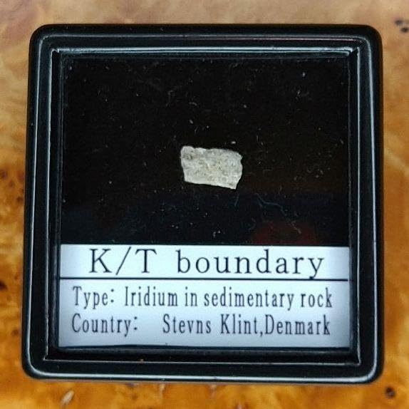 恐竜絶滅！小惑星のかけら K-T境界層 標本 【公式通販】