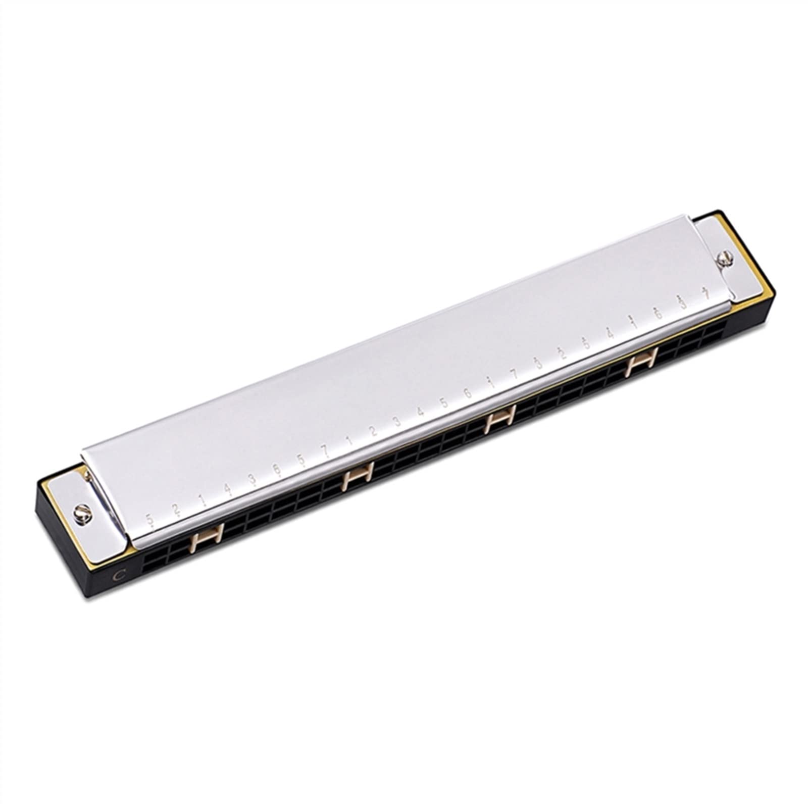 24-dołkowa Profesjonalna Harmonijka Dla Początkujących Diatoniczna Podwójna Harmonijka Tremolo Na Prezent Harmonijka Dla Początkujących (Color : Silver)