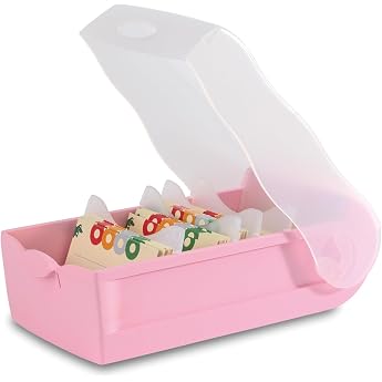 HAN Croco Flashcard Box Easy to Learn Vocabulary with 5-Compartment Learning System DIN A7 Index Box for 900 Cards Includes 5 Support Plates + 100 Flashcards Index Box Learning Box 997-886