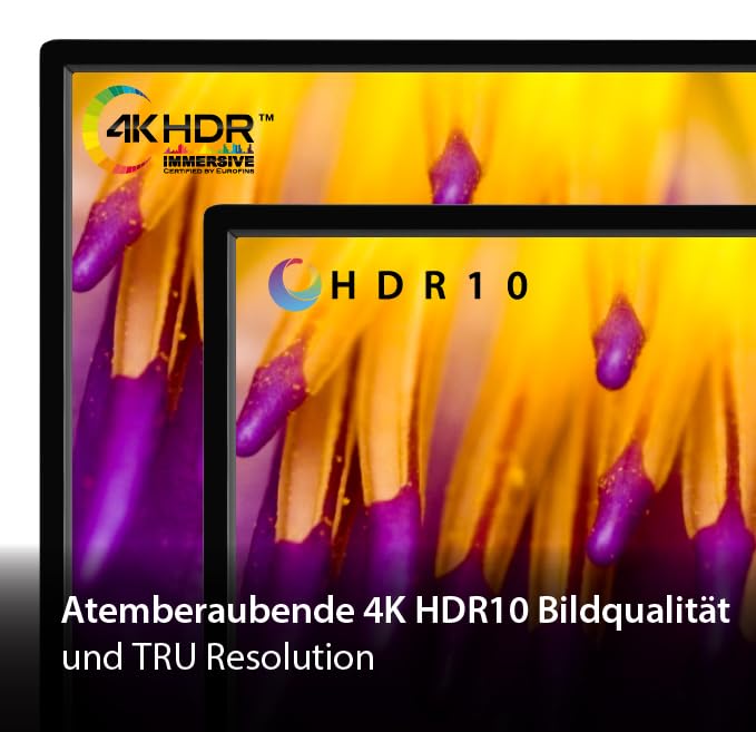 Toshiba 65UF3D63DA 65 Zoll Fernseher/Fire TV (4K Ultra HD, HDR Dolby Vision, Smart TV, Triple-Tuner, Alexa Built-In, Bluetooth, Sound by Onkyo), Schwarz – Bild 7