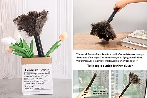 Image of Retractable Ostrich Feather Duster for Cleaning, 15 Inch Fluffy and Natural Feather Duster with Retractable Handle, Reusable Eco-Friendly Handheld Cleaning Supplies(5PCS)