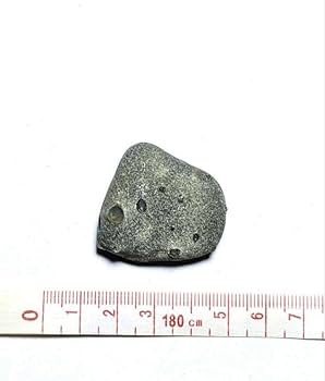 青森県産 今別町産 袰月産 舎利母石 原石 奇石 安山岩 子持ち石 一点物 D Amazon.co.jp: 青森県産 今別町産 舎利母石 原石 奇石 安山岩