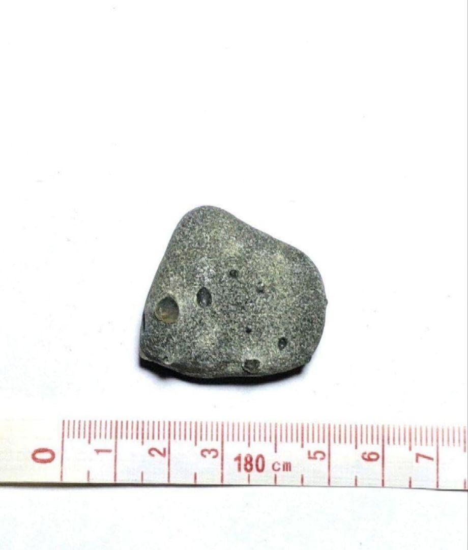 Amazon.co.jp: 青森県産 今別町産 舎利母石 原石 奇石 安山岩 子持ち石