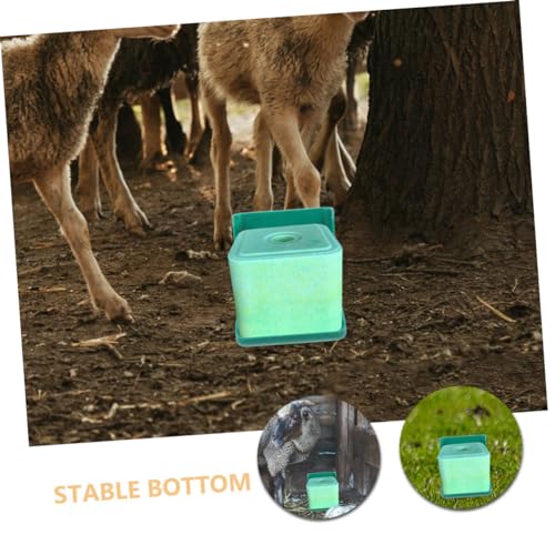 Boîte à sel pour bovins support minéraux élevage moutons et vaches