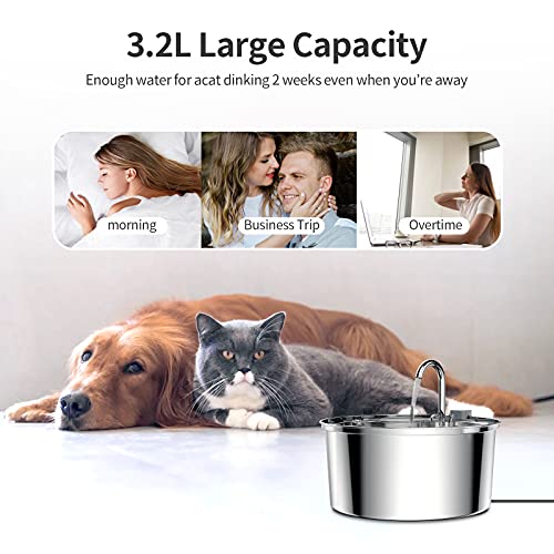 Tomxcute Cat Water Fountain, 3.2L/108oz Automatic Stainless Steel Pet Fountain Dog Water Dispenser, Ultra-Quiet Pump and… - Image 7