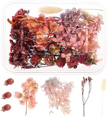Gallery Detail: 2 Boxes Real Dried Flowers Natural Dry Flowers Leaves Colorful