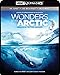 IMAX: Wonders of the Arctic [Blu-ray]