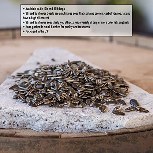 Desert Valley Premium Striped Sunflower Seeds - Wild Bird - Wildlife Food, Cardinals, Squirrels, Jays & More (5-Pounds) #TOP2