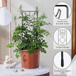 Moon Phase Plant Trellis 3 Pack, 14.25 Inch Small Trellis for Potted Plants, Metal Plant Trellis for Climbing Plants Indoor, Black Moon Phase Plant Trellis 3 Pack 1425 Inch Small Trellis for Potted Plants Metal Plant Trellis for Climbing Plants Indoor Black